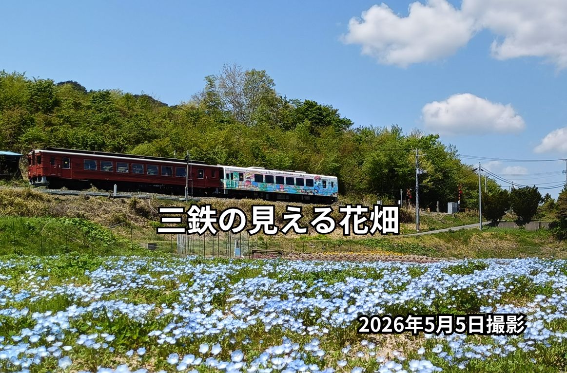 三鉄の見える花畑